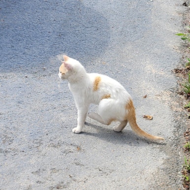 산정루 이미지