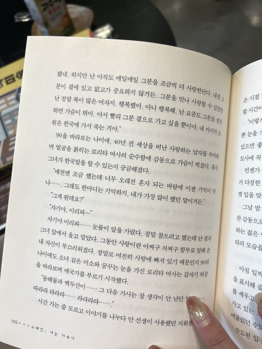 카타리나헤어 이미지