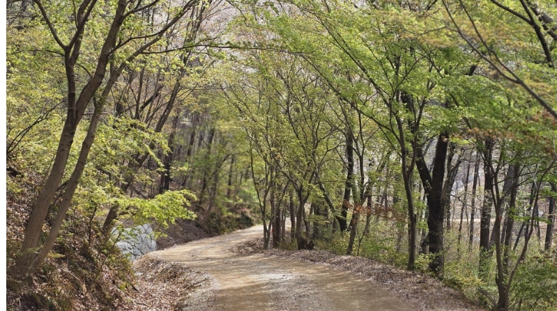 코오롱스포츠익산 이미지