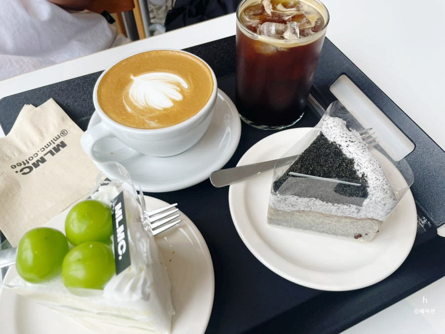 엠엘엠씨(MLMC) 이미지