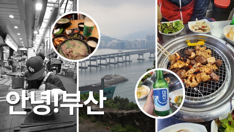 부산양곱창3호 이미지