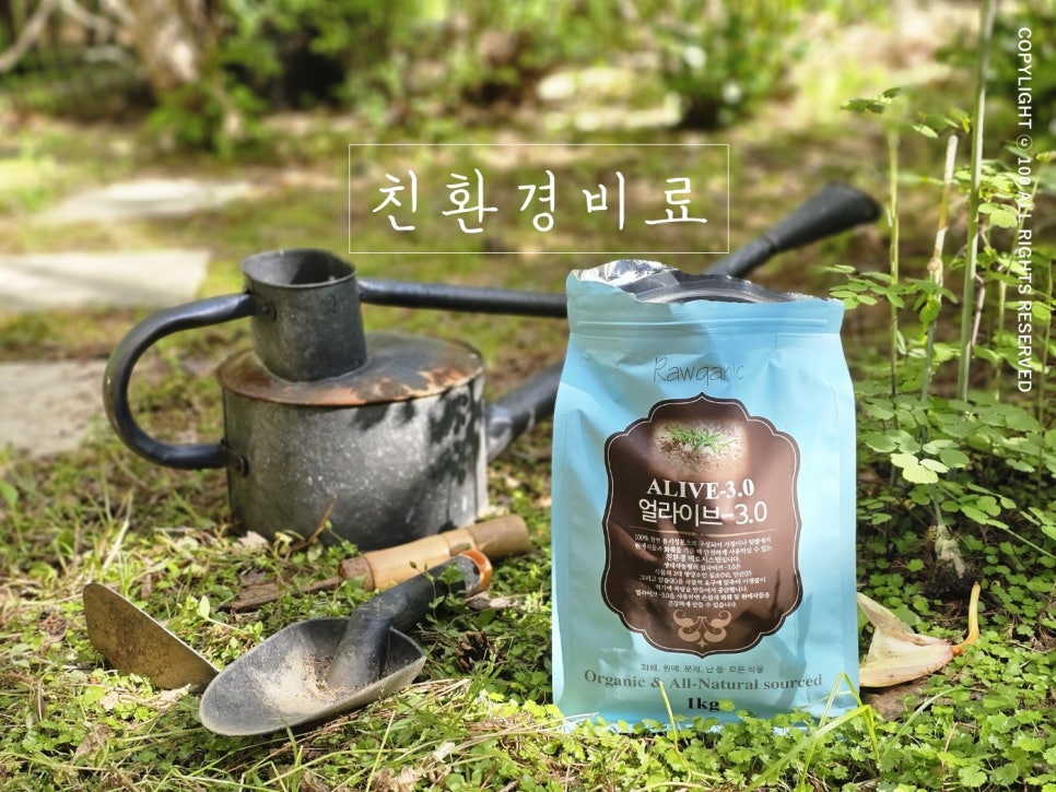 애드몬스 이미지