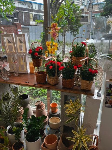 밈밈 이미지