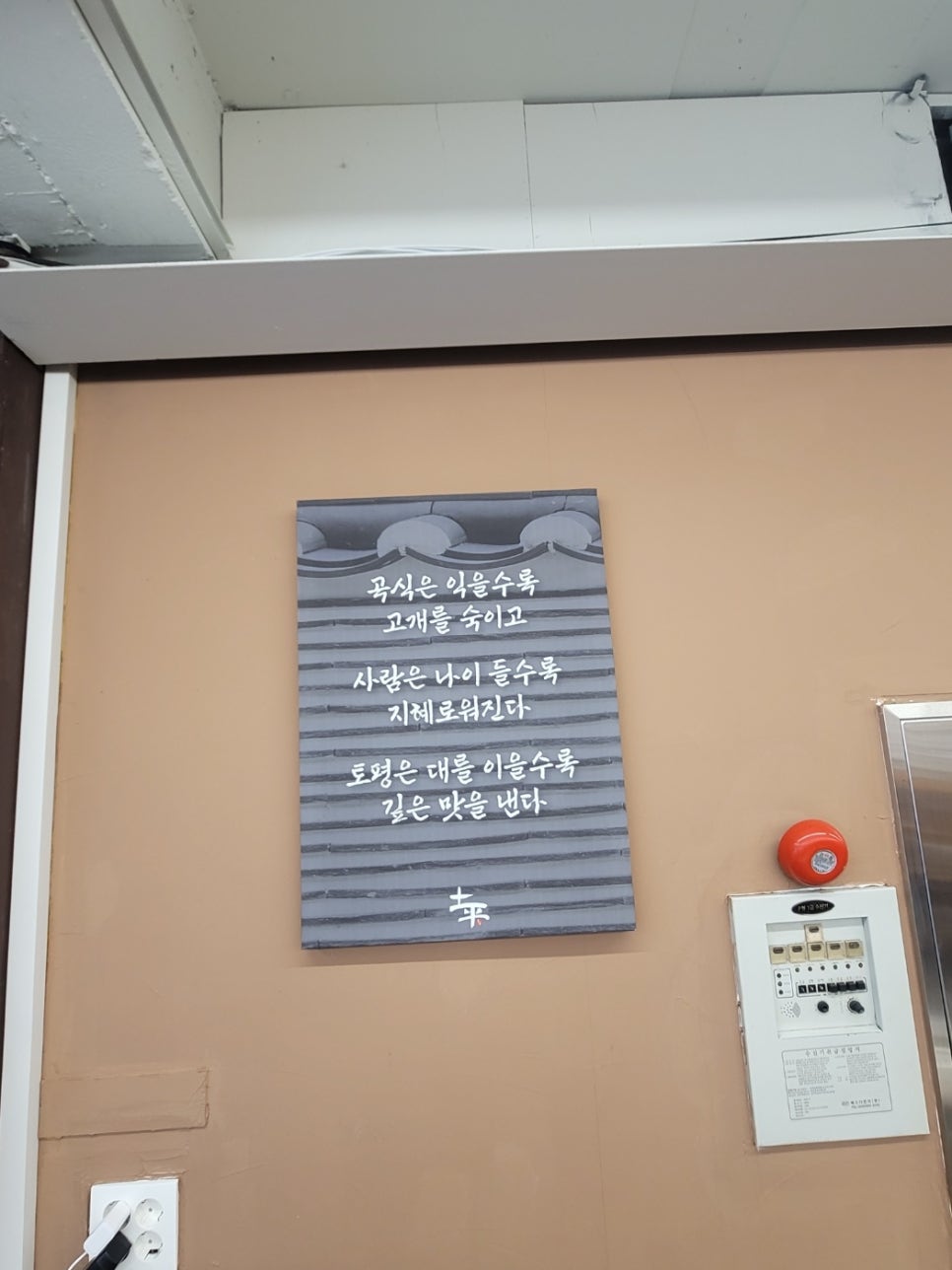 손칼국수와보리밥 이미지
