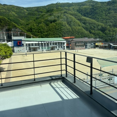 데이지닮다 이미지