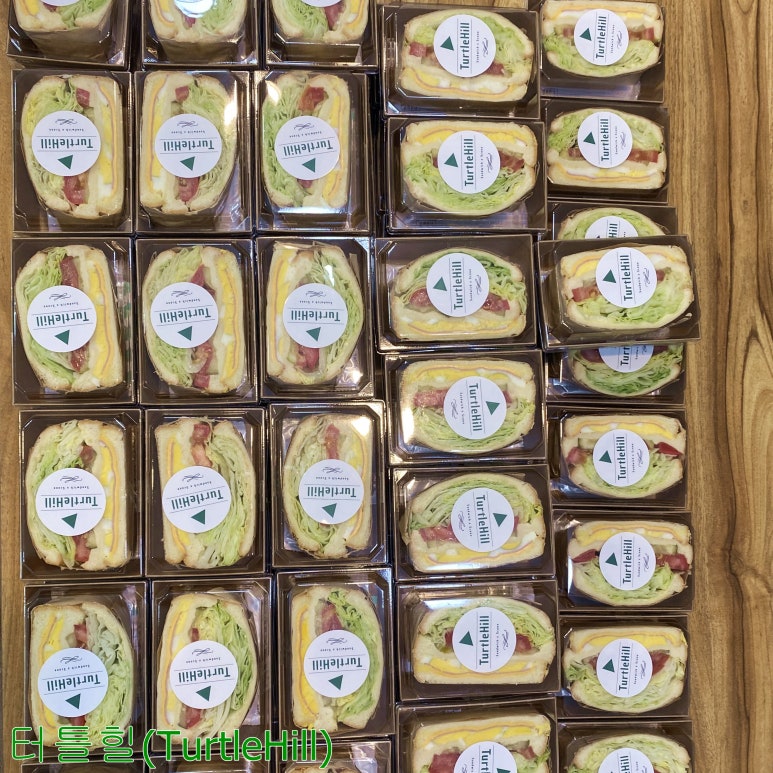 터틀힐 이미지
