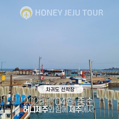 제주다정여행사 이미지