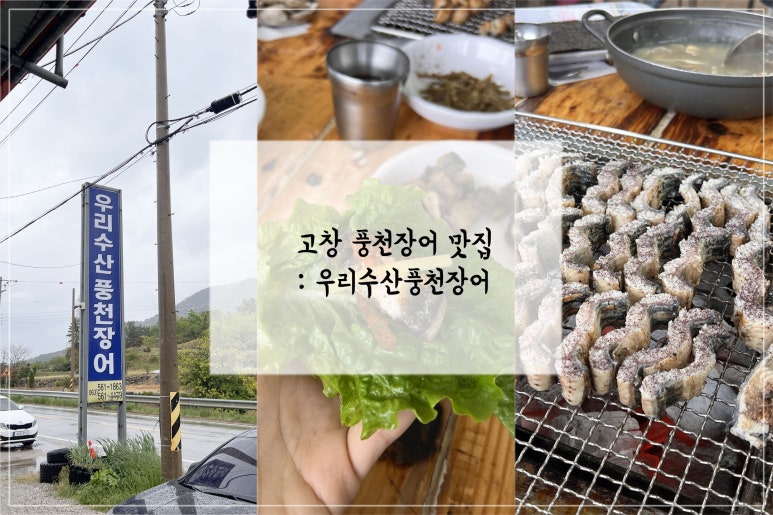 우리수산풍천장어 이미지