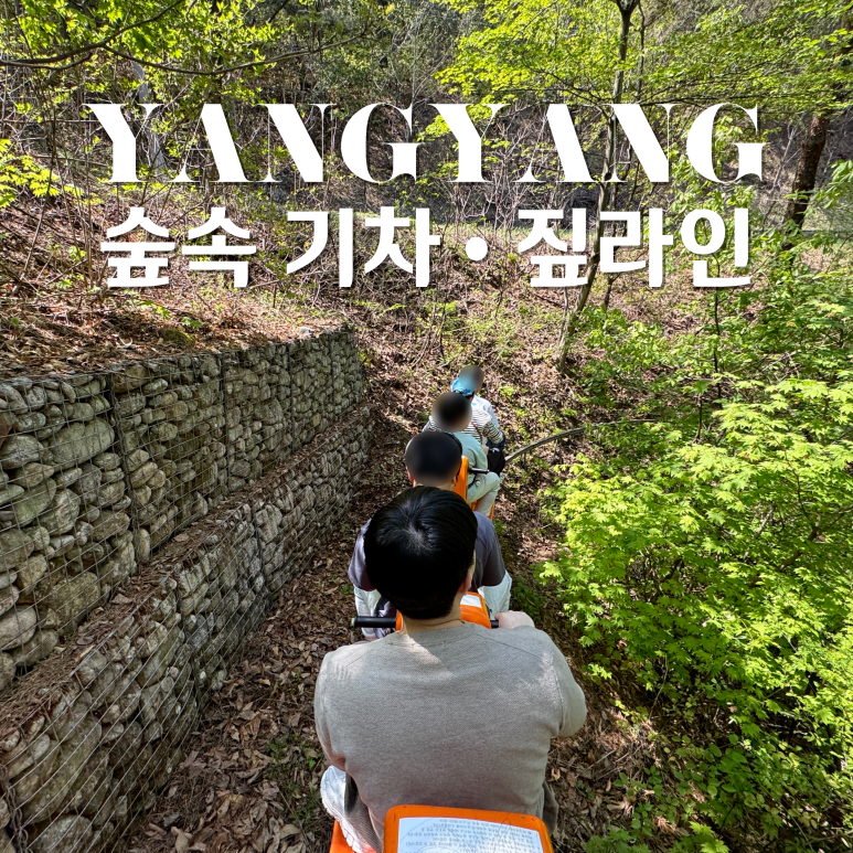 레포밸리 이미지