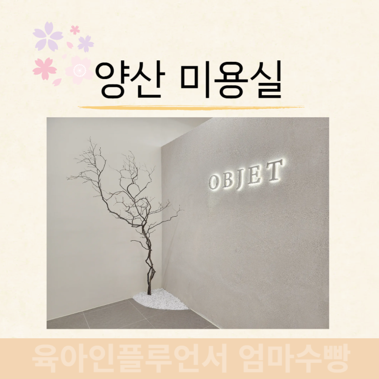 새동네미용실 이미지