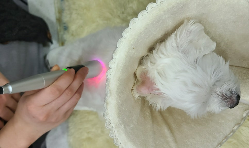 두암한방병원 이미지