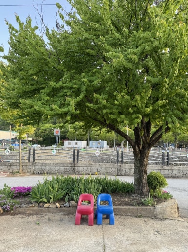 한일맛집 이미지