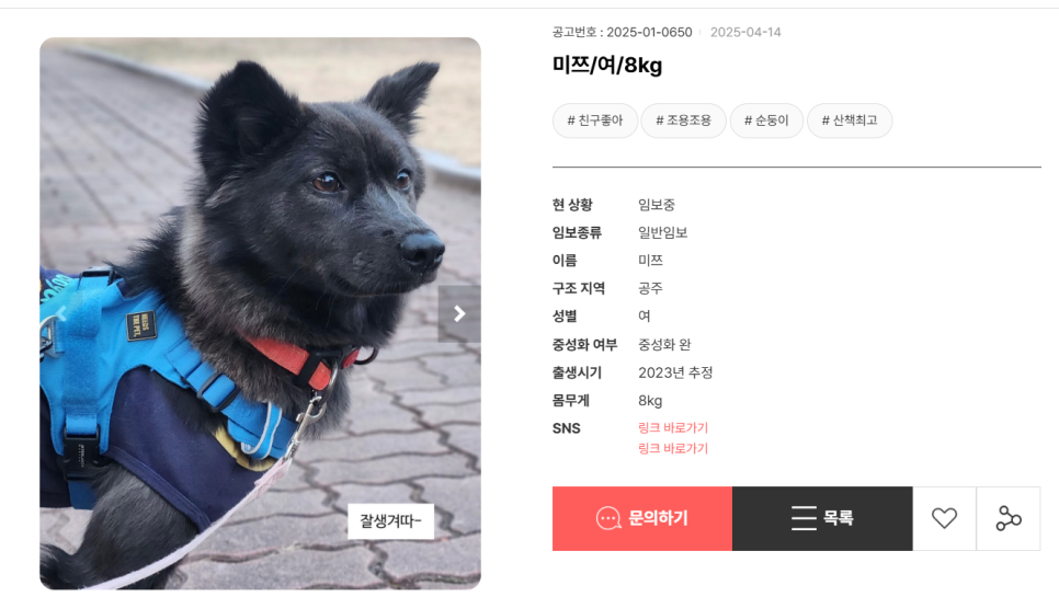 하콩이네 이미지