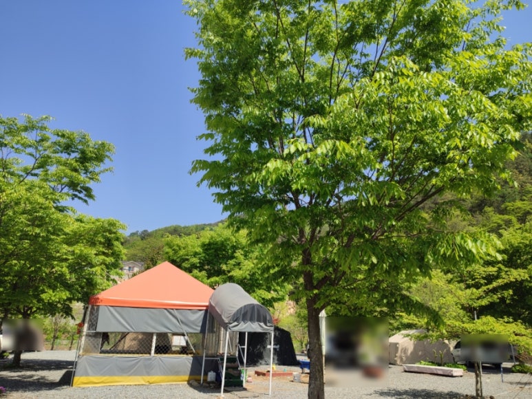 한스빌리지캠핑장 이미지