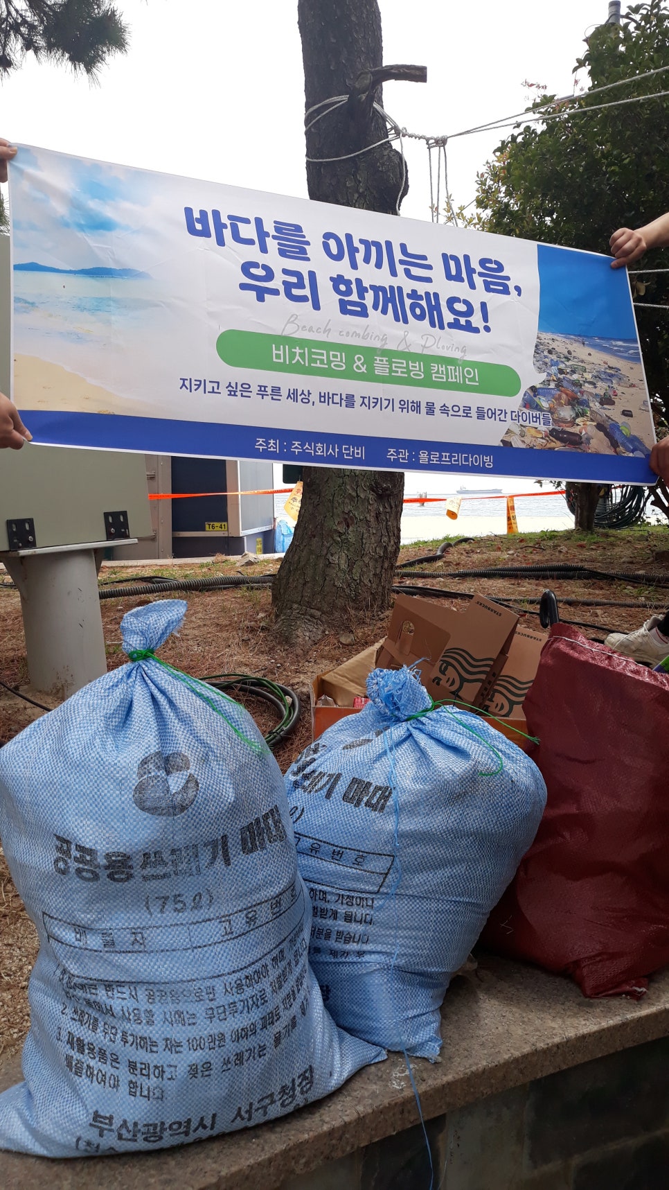 욜로클린 이미지