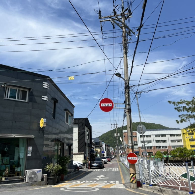 데이지닮다 이미지