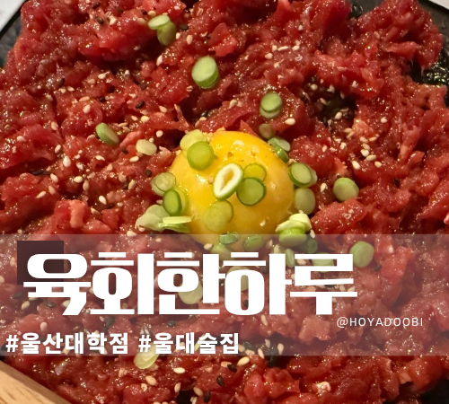 육회한하루 이미지