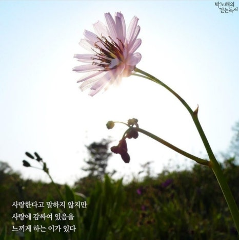 소소한이야기 이미지