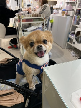 뷰티노리샘 이미지