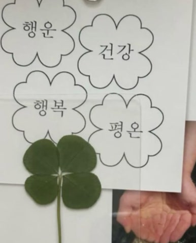 꽁뜨 이미지