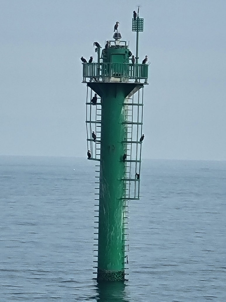 벽화마을민박 이미지