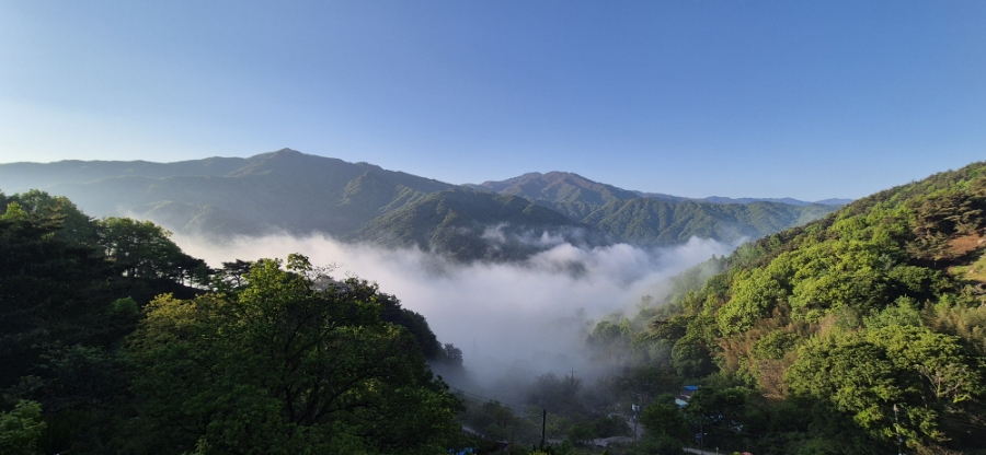 바람에정원민박 이미지