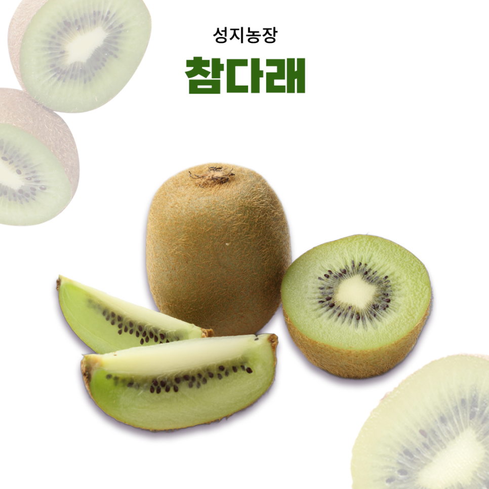 고성식품 이미지