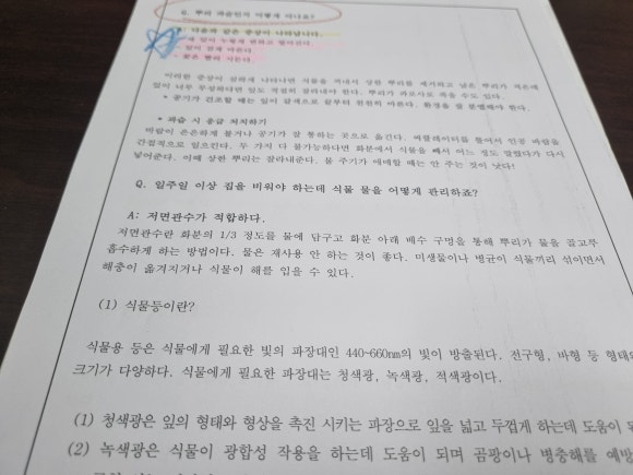 신단수디자인 이미지