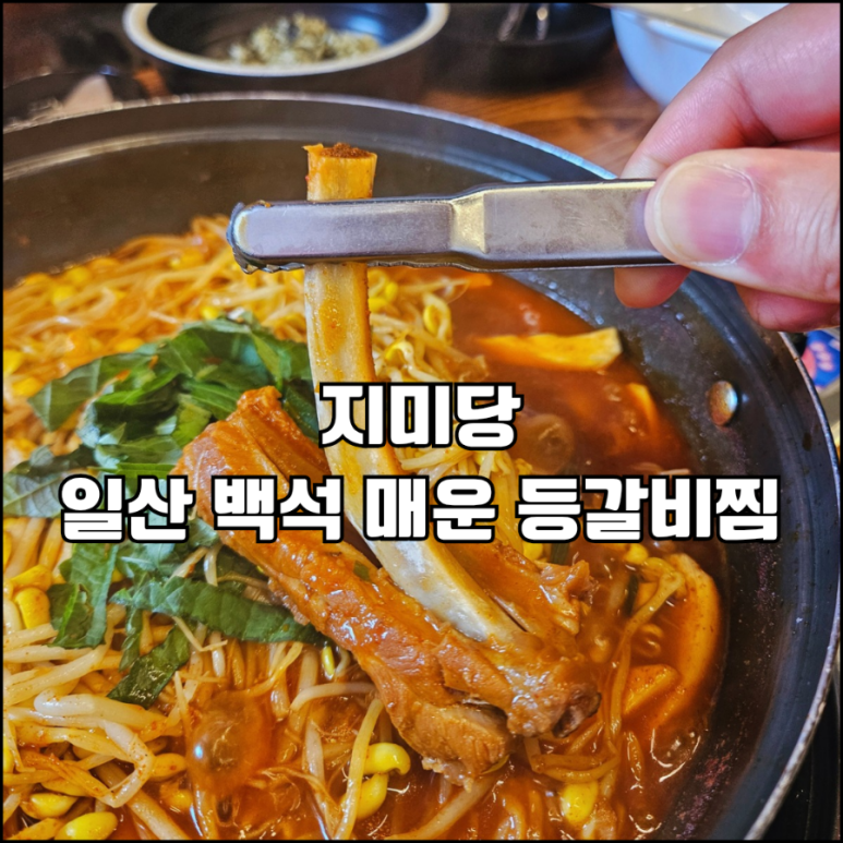 지미당 이미지
