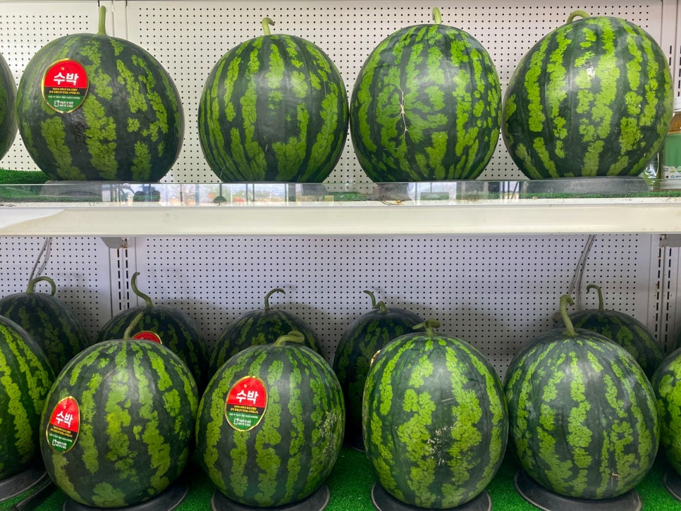 바뜨랑판매장 이미지