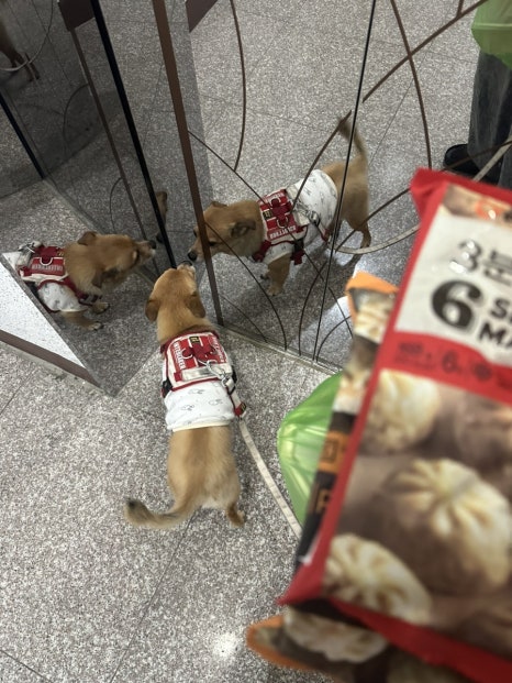 동구네반찬 이미지