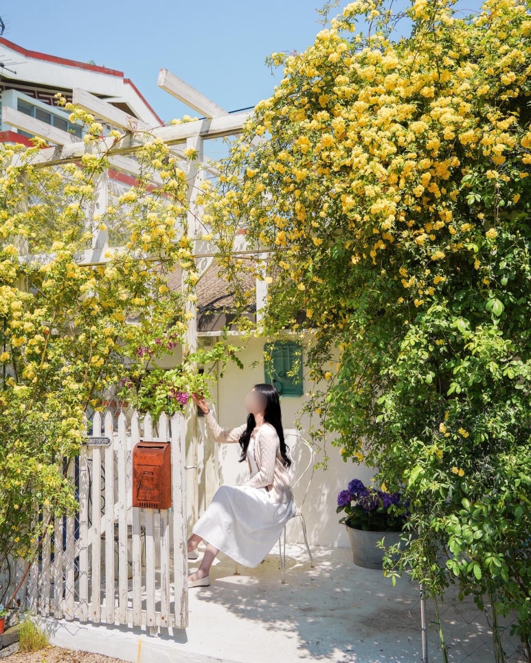 장미카페 이미지