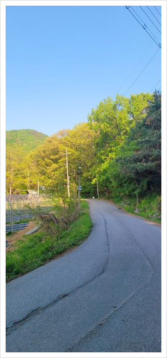 레드브릭101 이미지