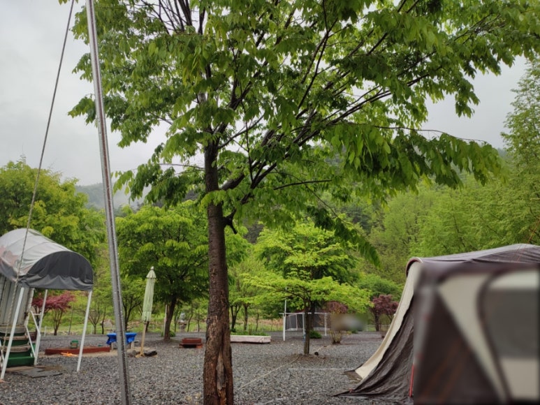 한스빌리지캠핑장 이미지