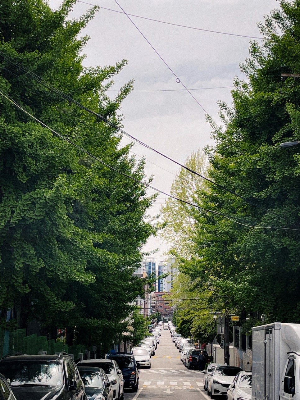 바르토스커피랩 이미지