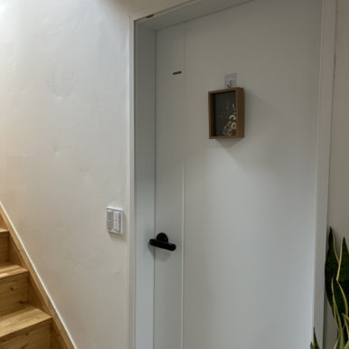 데이지닮다 이미지