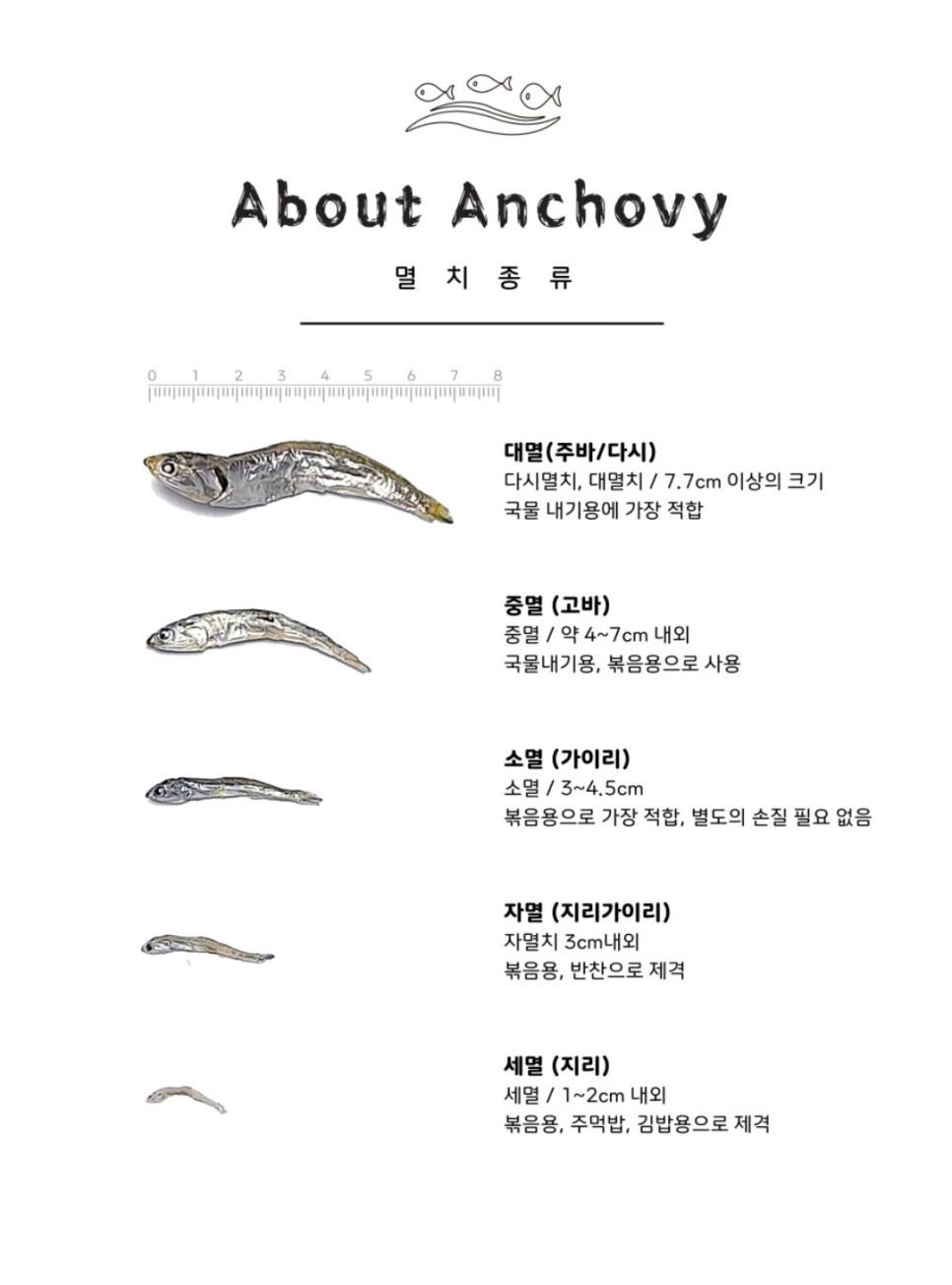 명품멸치건어물 이미지