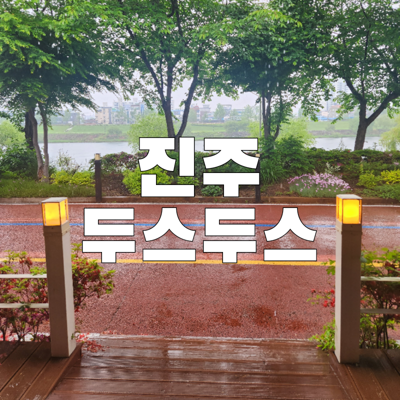두스두스 이미지