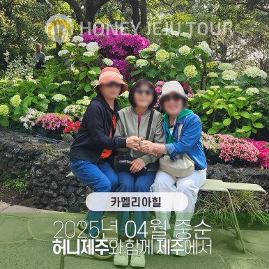 제주다정여행사 이미지