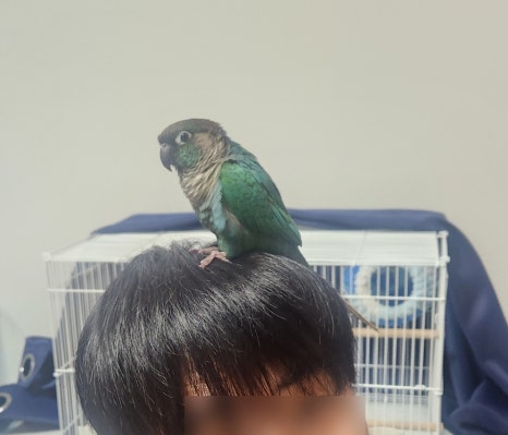 범식이네옛날통닭 이미지