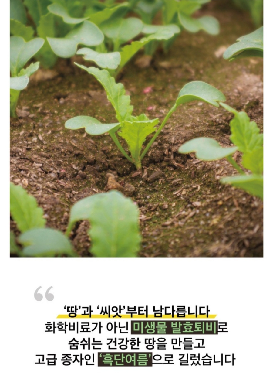 싱싱팜 이미지