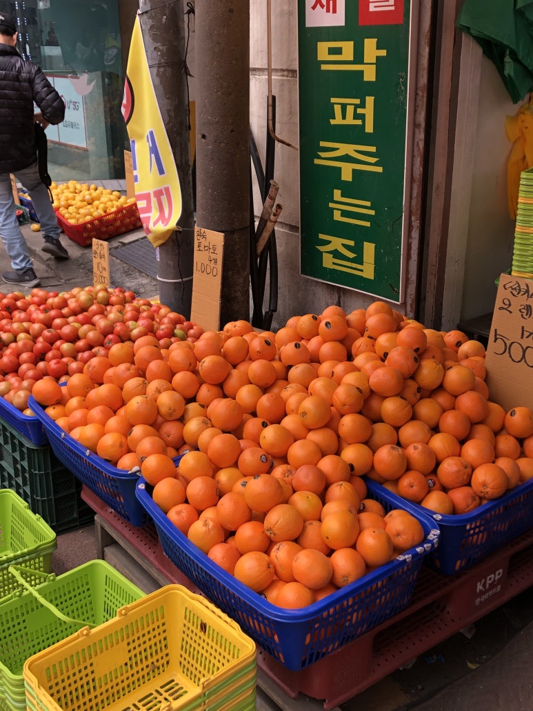 희망청과 이미지