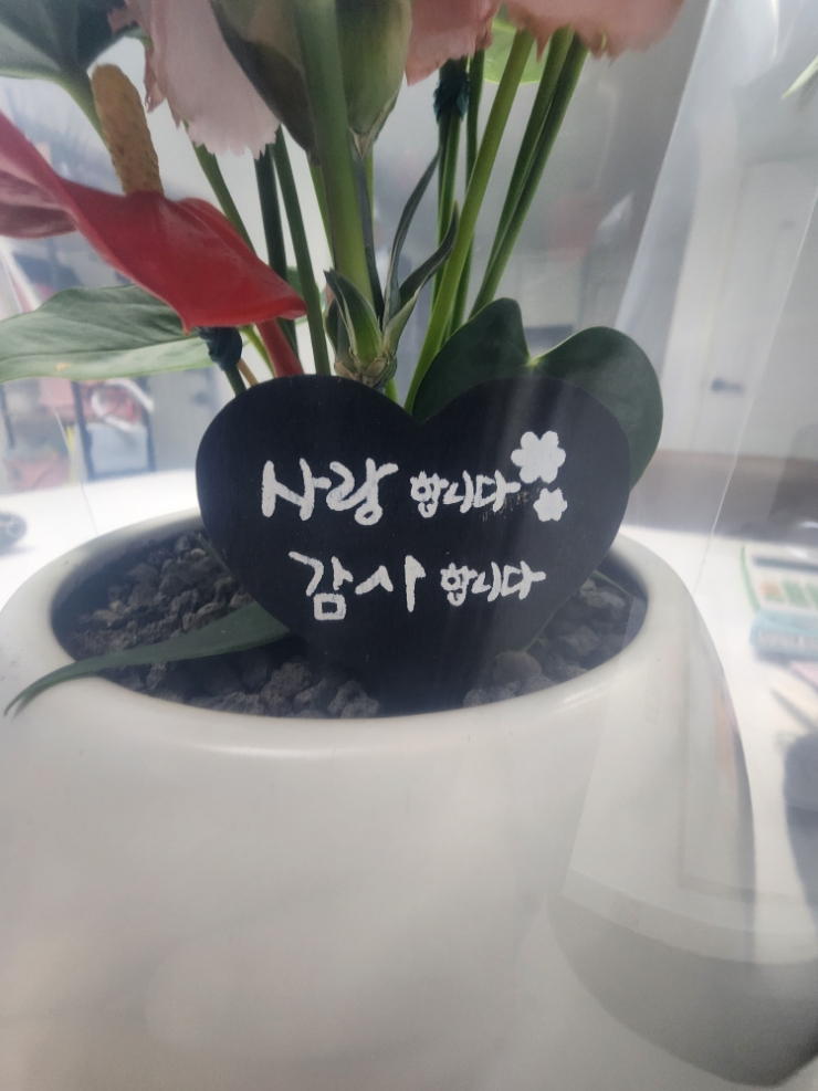 늘꽃처럼 이미지