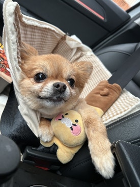 뷰티노리샘 이미지