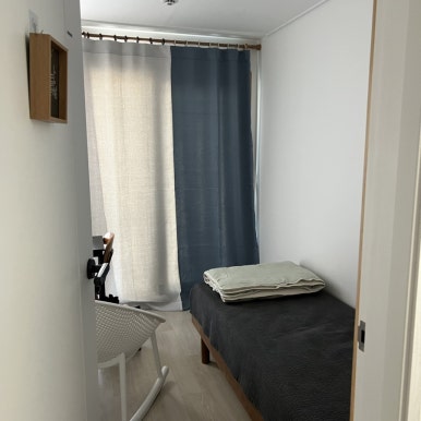 데이지닮다 이미지