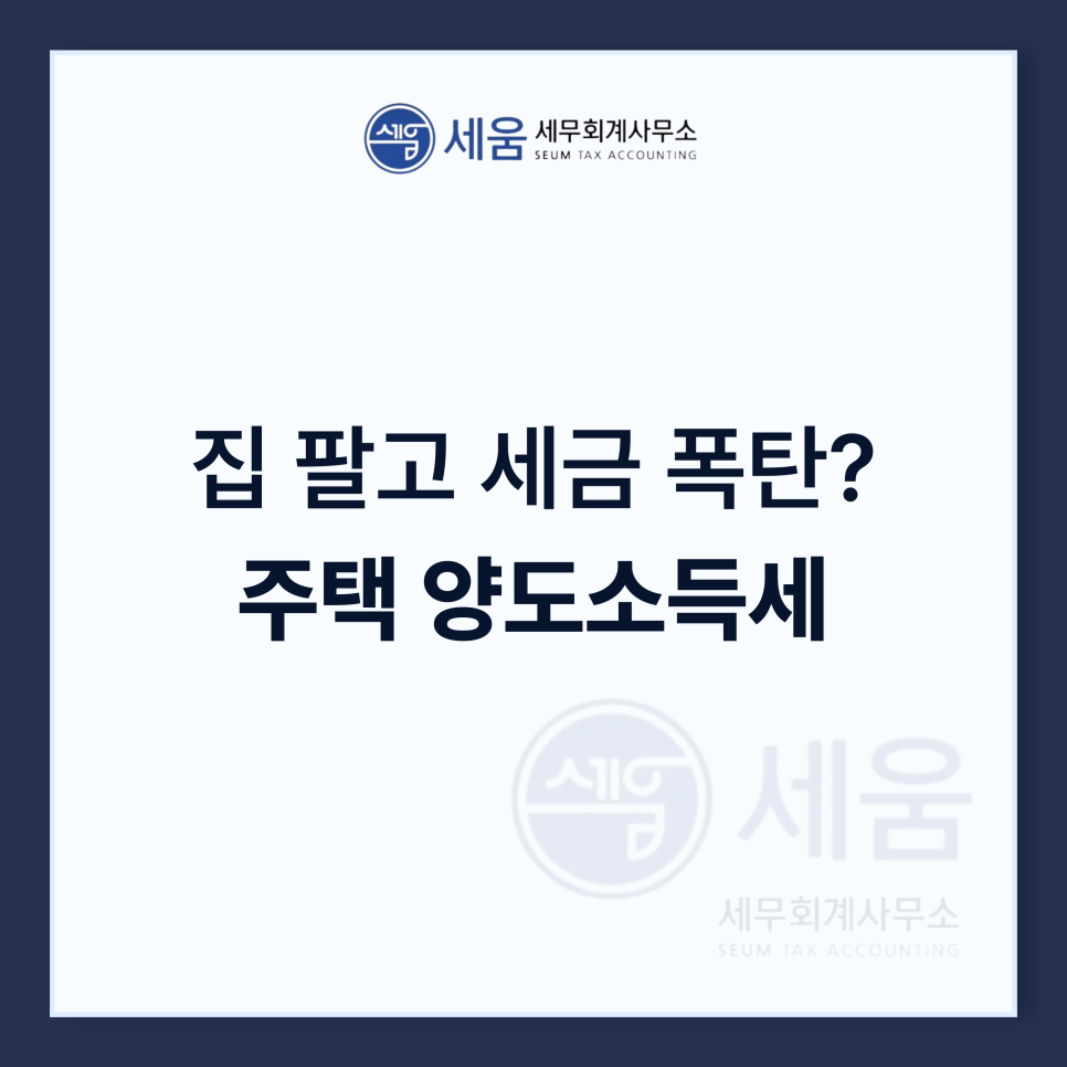 세움세무회계 이미지