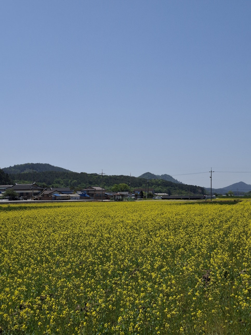카페동호 이미지