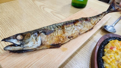 태양수산활어회 이미지