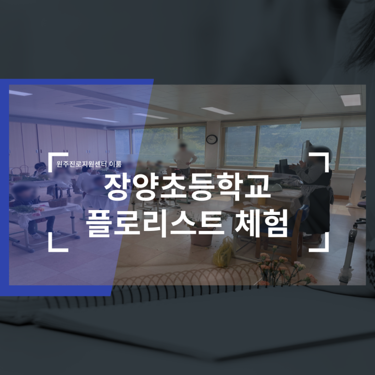 원주진로지원센터이룸협동조합 이미지