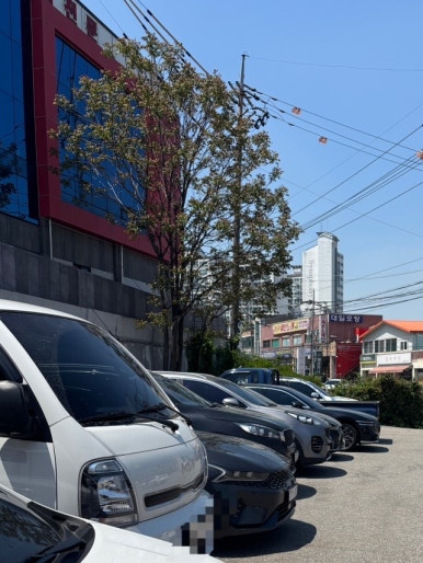 산홍(오산평택직영점) 이미지